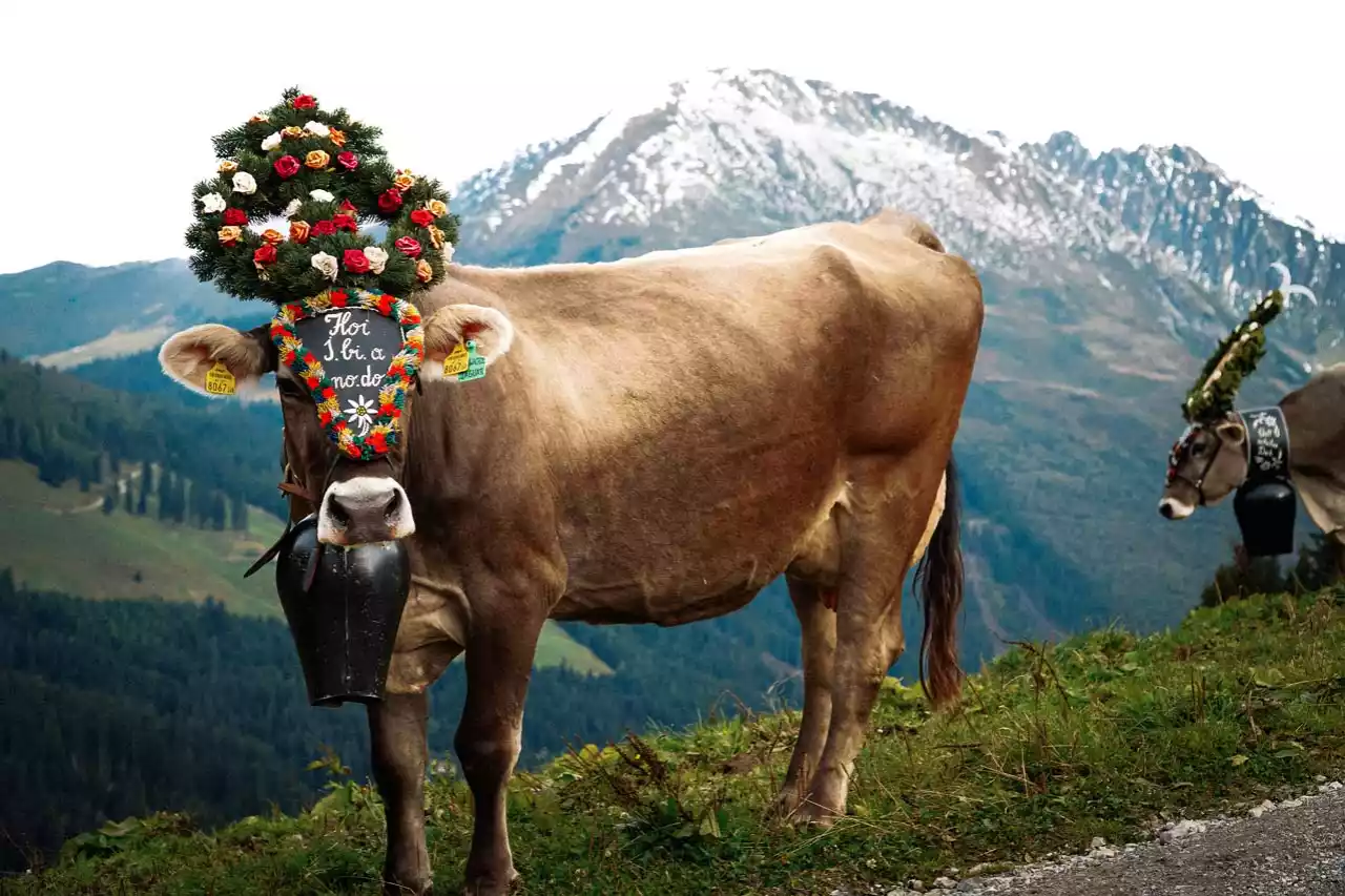 Unsere Veranstaltungstipps in und ums Zillertal