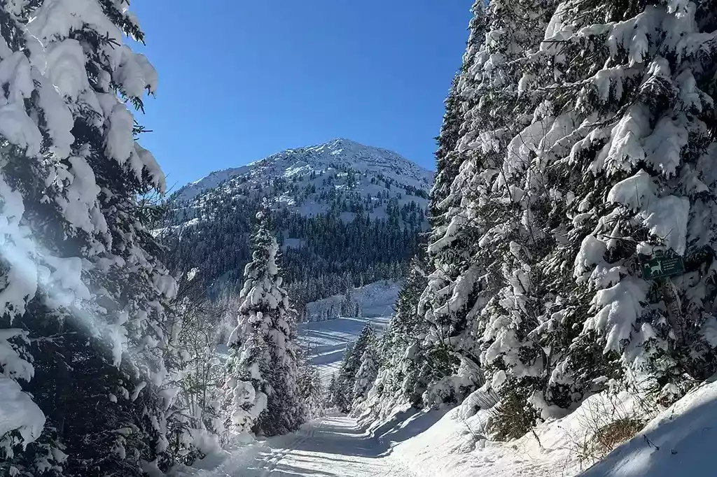 Winterwanderung zur Quellenweg am Finsinggrund